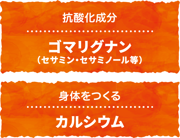 抗酸化成分ゴマリグナン、身体をつくるカルシウム
