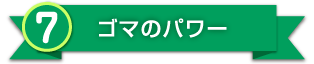 7.ゴマのパワー