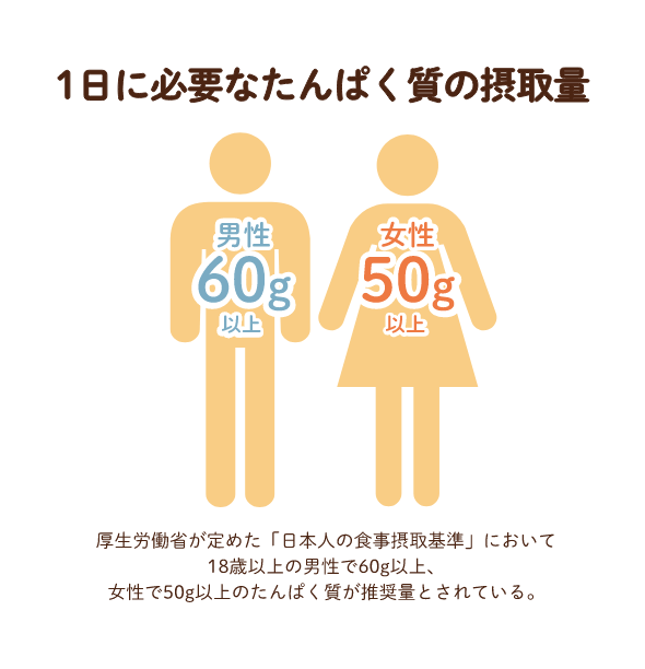 1日に必要なたんぱく質の摂取量は男性60g以上、女性50g以上