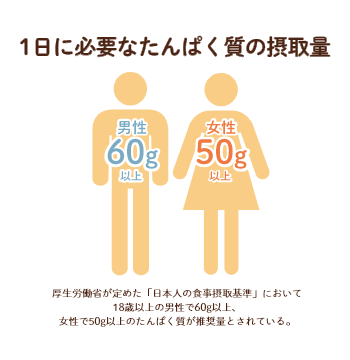 1日に必要なたんぱく質の摂取量は男性60g以上、女性50g以上