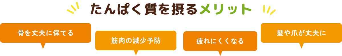 たんぱく質を摂るメリット。骨を上部に保てる、筋肉の減少予防、疲れにくくなる、髪や爪が丈夫に