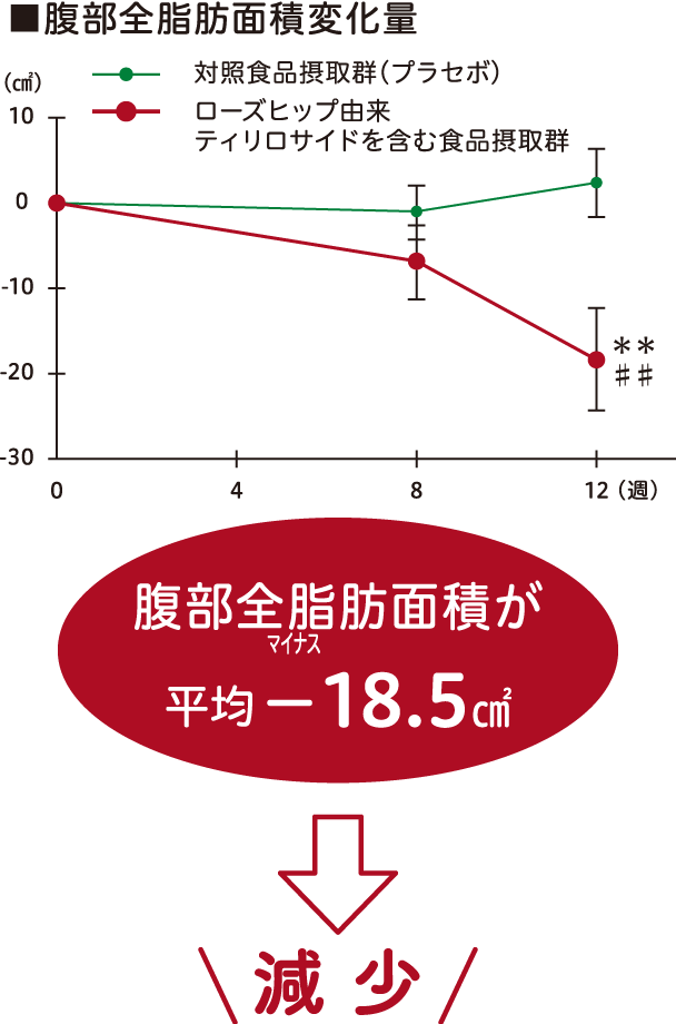 腹部全脂肪面積変化量