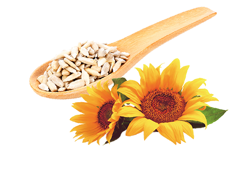 世界のトップアスリートも愛用！メディアやSNSで大注目