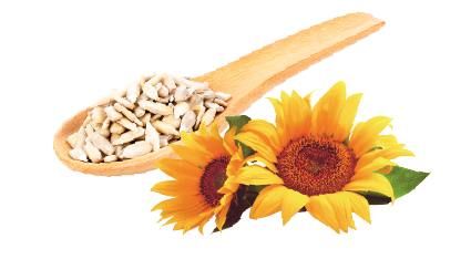 世界のトップアスリートも愛用！メディアやSNSで大注目