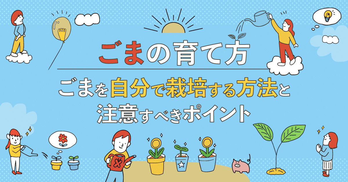 ごまの育て方｜ごまを自分で栽培する方法と注意すべきポイント