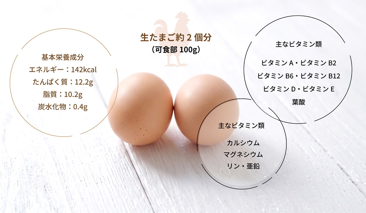 卵の栄養