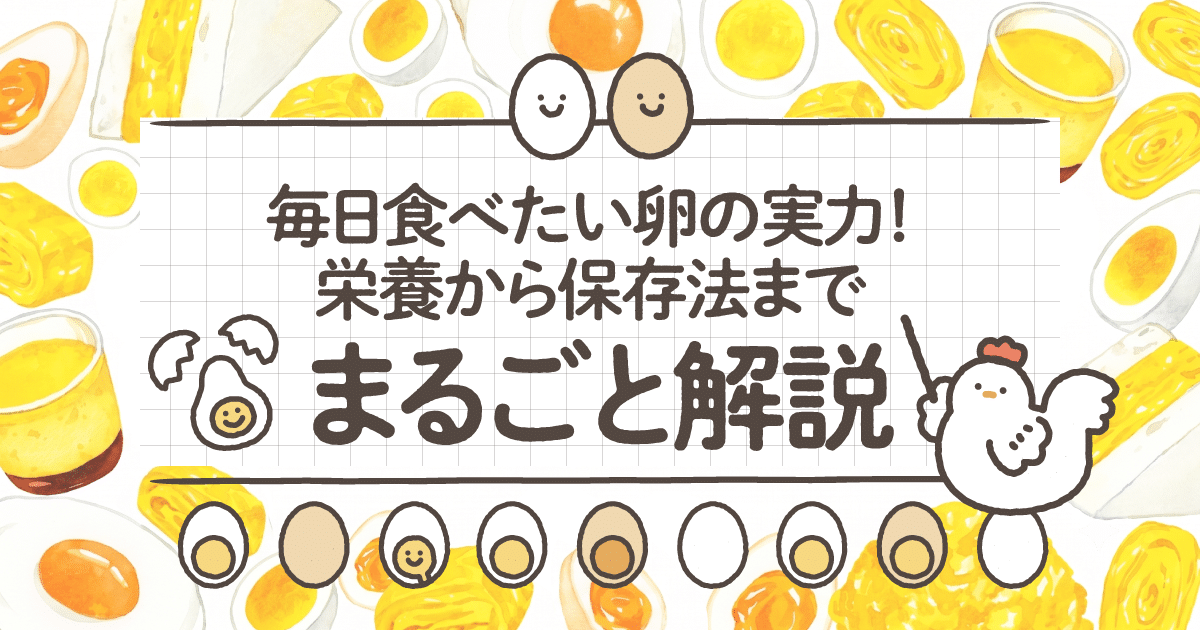 毎日食べたい卵の実力！栄養から保存法までまるごと解説